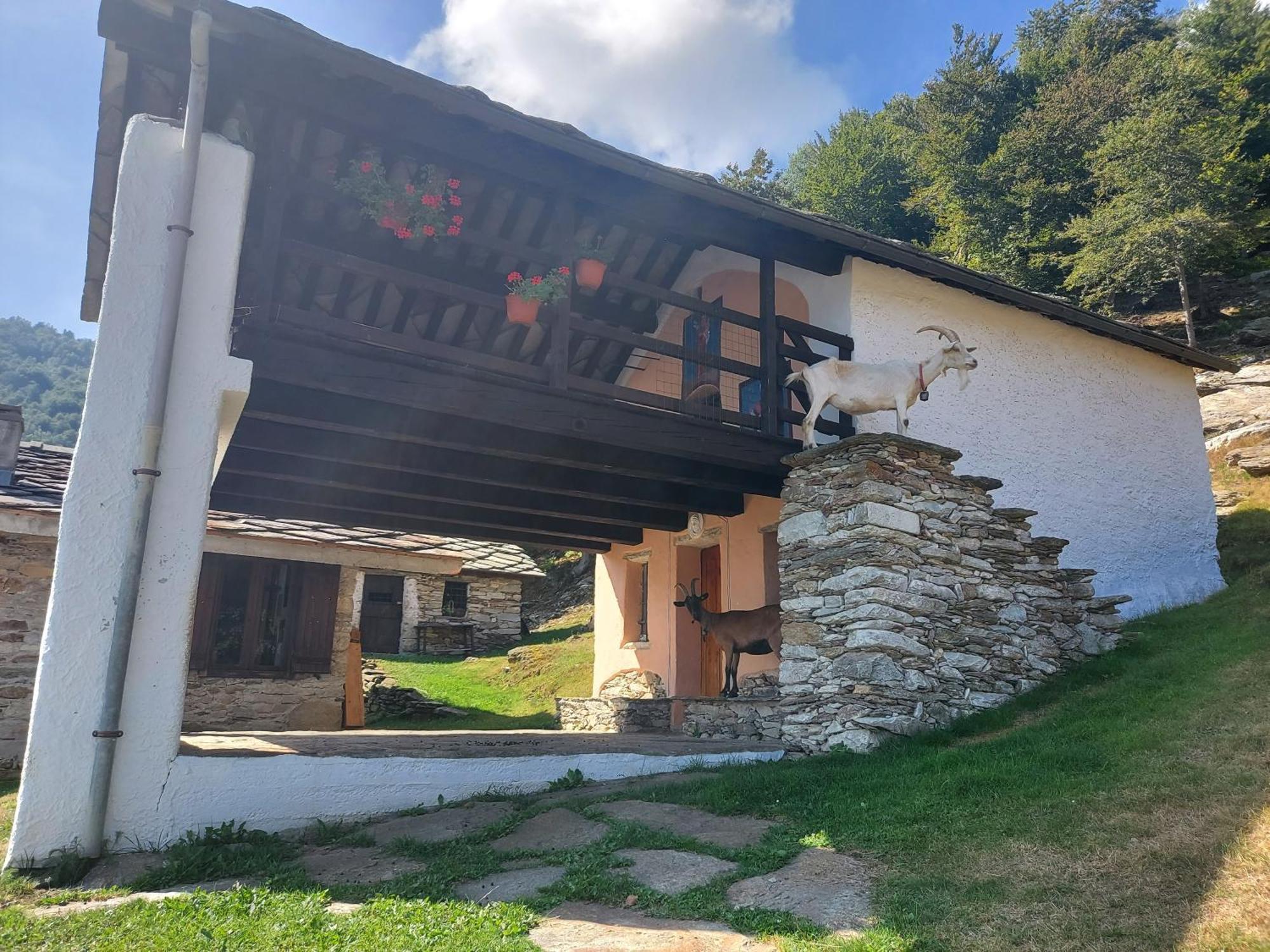 Gran Paradiso Alpette Exteriér fotografie